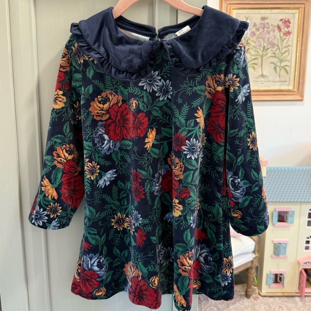 H&M Peter Pan Collar Winter Floral Velvet Dress